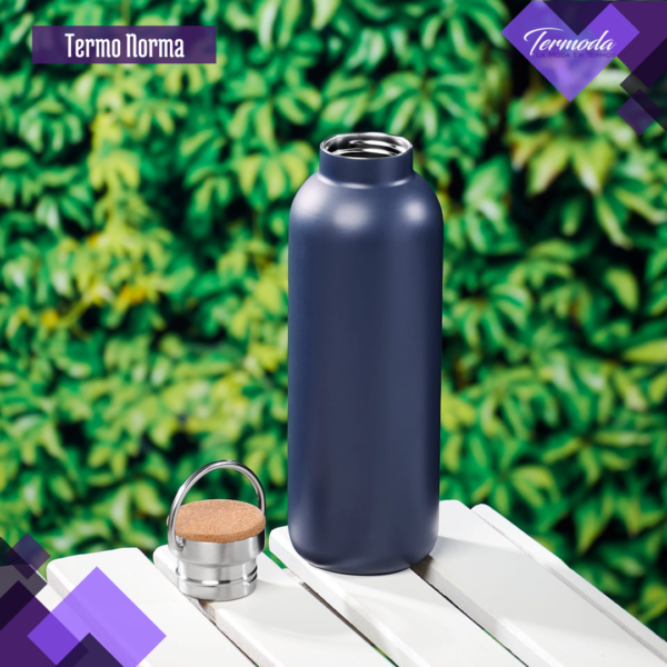 Termo Norma