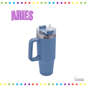 Termo Aries / 30oz